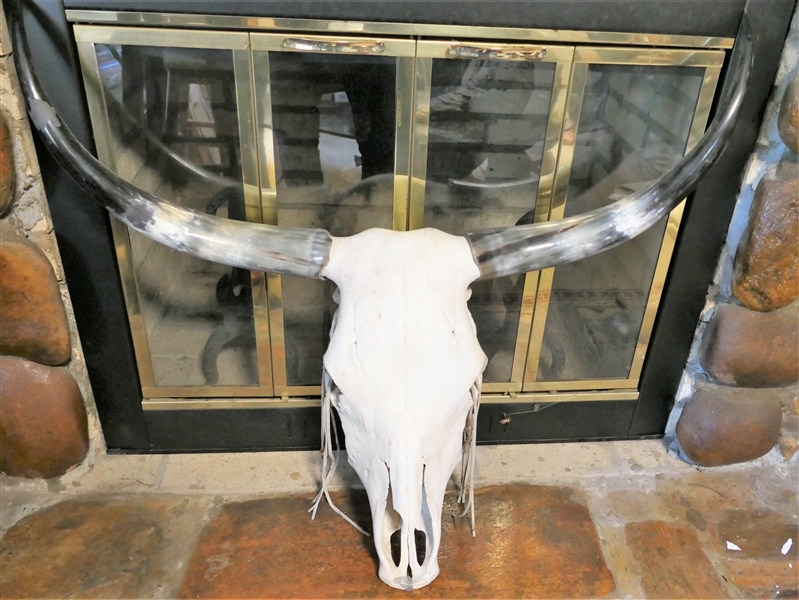 Long Horn Cow Skull with Horns - Measures 18" tall 34" Across