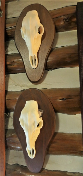 2 Replica Deer Skull Plaques - To Hold Antlers