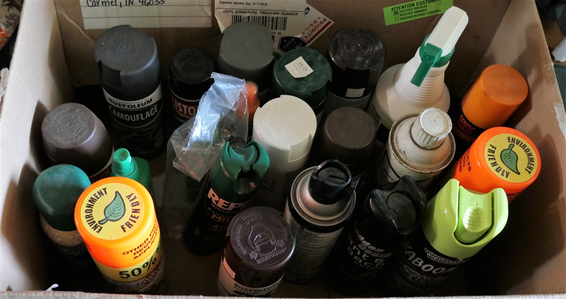 Box Lot of Paint, Insect Repellant, and Cleaning Products