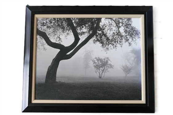 Framed Print of Trees in the Fog - Frame Measures 28" by 34" 