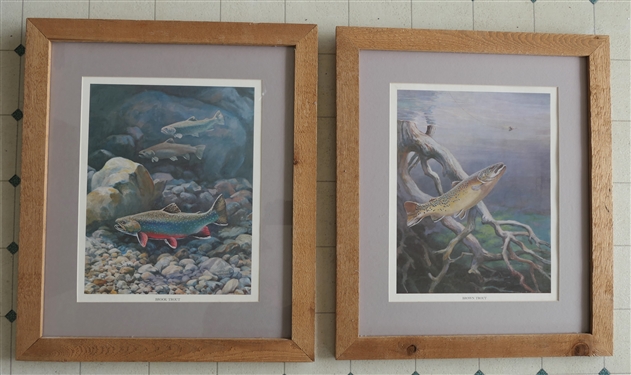 2 - Bob Hines Fish Prints - "Brown Trout" and "Brook Trout" - Both Framed and Matted - Frames Measure 22 1/2" by 19 1/2"