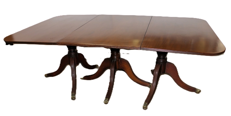 Excellent Mahogany Pedestal Base Dining Table - Duncan Phyfe Style with Brass Claw Feet - Large Table with 2 Additional Leaves - Center Pedestal with 4 Feet Outer Pedestals with 3 Feet - Table As...