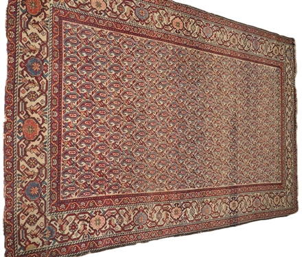 Persian Sultanabad Rug - Cream Background with Red, Blue, Coral and Green - Carpet Measures 77 by 53 1/2