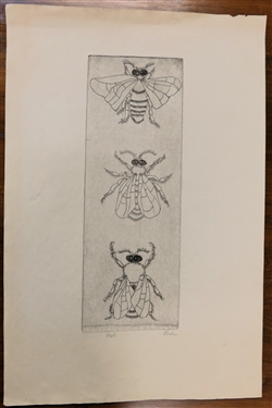 Pen and Ink Drawing of Insects by North Carolina Artist Bruce Park - Artist Signed and Dated 1969 - Art Measures 17 3/4 By 12 