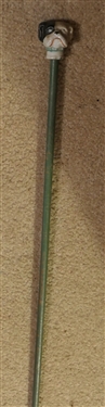 Carnival Cane 