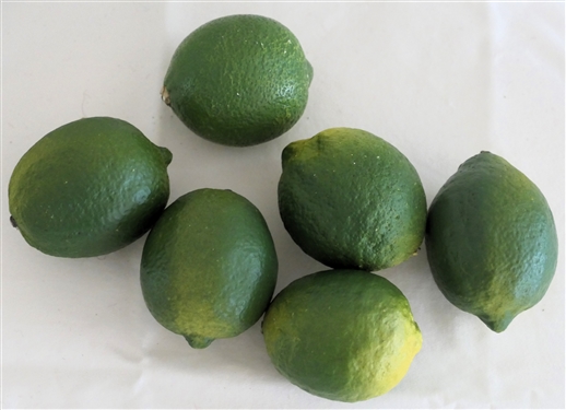 6 Super Realistic Resin Limes 