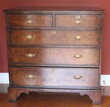 19th Century English Burl Solid End Chest of Drawers - 2 Dovetailed Drawers over 3 Dovetailed Drawers - Unusual Hand Chased Brass Pulls - Chest Measures 37 tall 37 1/2 by 20 1/2