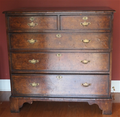 19th Century English Burl Solid End Chest of Drawers - 2 Dovetailed Drawers over 3 Dovetailed Drawers - Unusual Hand Chased Brass Pulls - Chest Measures 37 tall 37 1/2 by 20 1/2