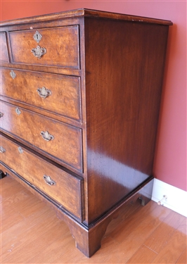 19th Century English Burl Solid End Chest of Drawers - 2 Dovetailed Drawers over 3 Dovetailed Drawers - Unusual Hand Chased Brass Pulls - Chest Measures 37 tall 37 1/2 by 20 1/2