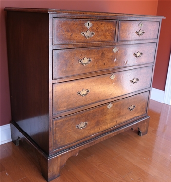 19th Century English Burl Solid End Chest of Drawers - 2 Dovetailed Drawers over 3 Dovetailed Drawers - Unusual Hand Chased Brass Pulls - Chest Measures 37 tall 37 1/2 by 20 1/2