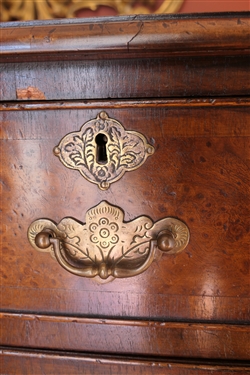 19th Century English Burl Solid End Chest of Drawers - 2 Dovetailed Drawers over 3 Dovetailed Drawers - Unusual Hand Chased Brass Pulls - Chest Measures 37 tall 37 1/2 by 20 1/2