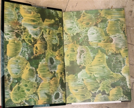 12 Beautiful Leather Bound Volumes of Oscar Wilde Patrons Edition Deluxe - Beautiful Green Leather Spines and Corners with Marbleized End Pages and Cover - 1923 Edition Printed in the United...
