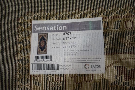 Sensation Navy Rug - 8'9 By 12' 3 