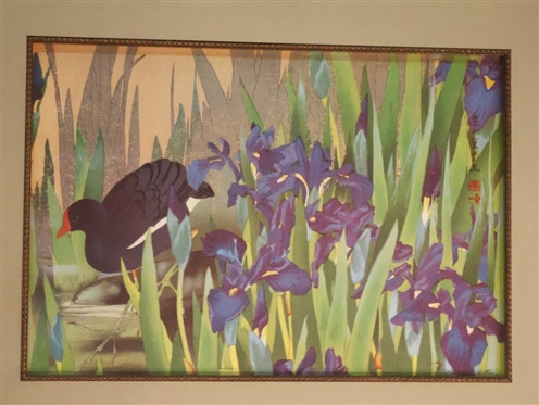 Iris and Moorhen Woodblock Print by Tsuchiya Rakuzan - Stamped on Right - Attractively Framed and Matted - Frame is 17 By 21