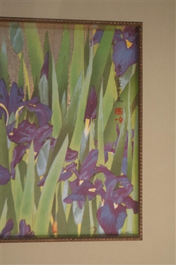 Iris and Moorhen Woodblock Print by Tsuchiya Rakuzan - Stamped on Right - Attractively Framed and Matted - Frame is 17 By 21