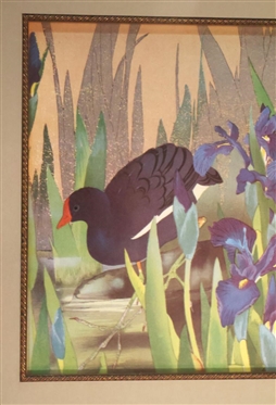 Iris and Moorhen Woodblock Print by Tsuchiya Rakuzan - Stamped on Right - Attractively Framed and Matted - Frame is 17 By 21