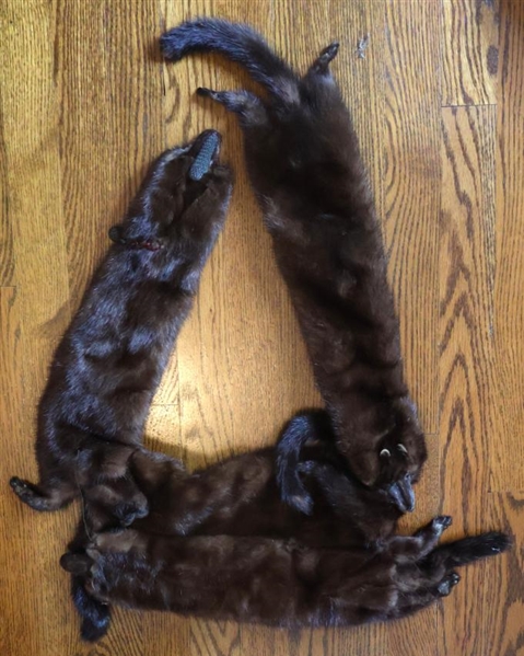 Mink Scarf - Full Minks 