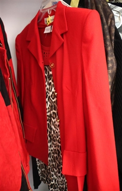 Closet Lot - Jessica Howard, Liz Claibore, Gardy, Chicos, Rafella, Christmas Cat Sweater Vest, Rena Rowan, Coldwater Creek, Etc. 