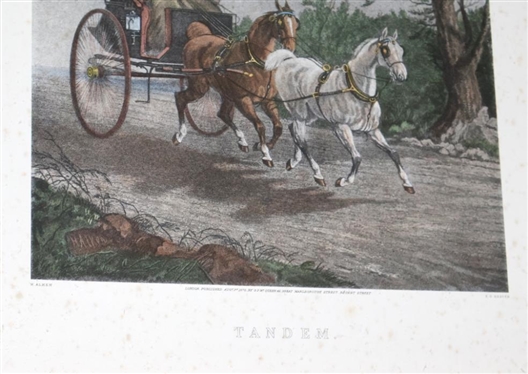Tandem Framed Equestrian Etching - London Published Aug 1st 1878 By G.P. McQueen - Attractively Framed and Matted - Frame is 27 By 24 1/2 - Some Overall Foxing